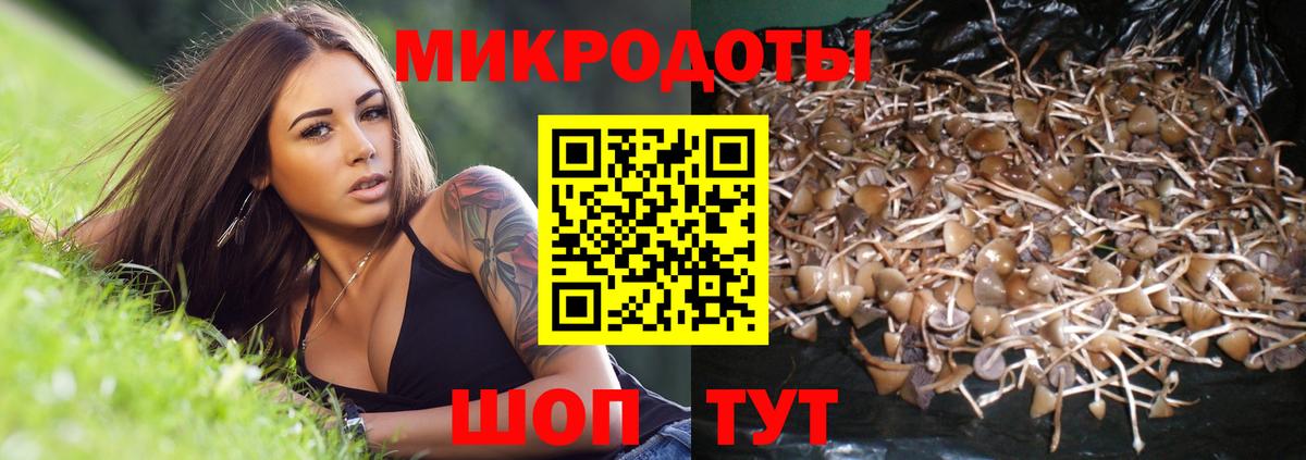 Галлюциногенные грибы Cubensis  Вход с VPN  Псилоцибиновые грибы Psilocybe  Мегион 